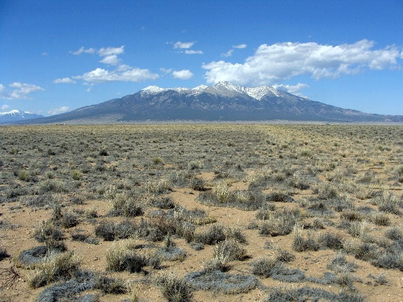 A dry desert landscape with sparse shrubs, leading to a distant mountain range with snow on the peaks, under a clear blue sky.