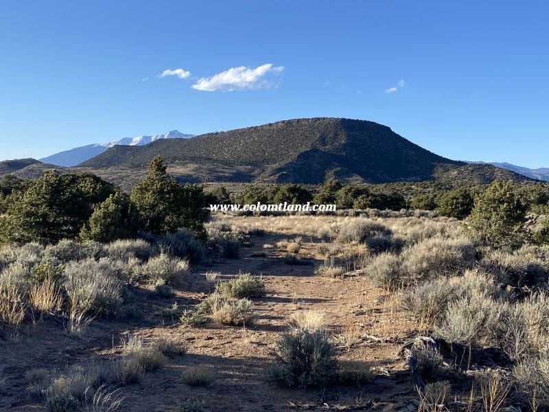 A scenic view of a forested valley with distant snow-capped mountains, and a dirt path cutting through the open landscape.